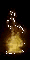 Fire.gif (21221 bytes)